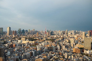 Fototapeta premium 東京都心・曇り