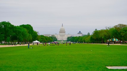 Fototapeta na wymiar Capitol Building from National Mall