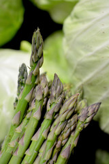 Green bunch of asparagus