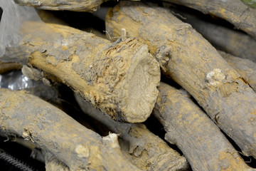 Bunch of Dry Organic Horseradish