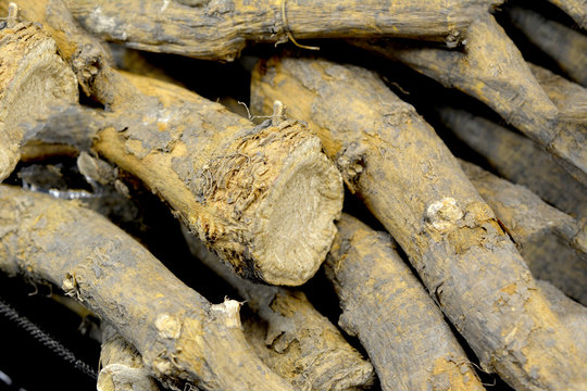 Horseradish