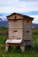 Beehive