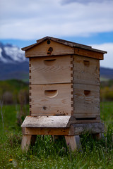 Beehive