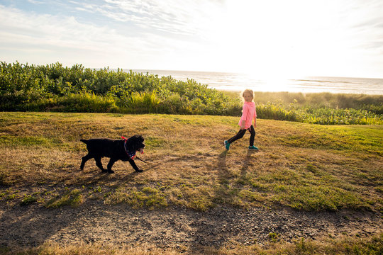 A toddler aged girl walking a black dog near the ocean on a sunny day.