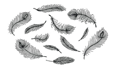 Set of black hand drawn different Peacock feather on white background. Isolated vector illustration © Tatjana