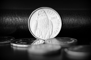 Two fijian dollars on a dark background close up. Black and white