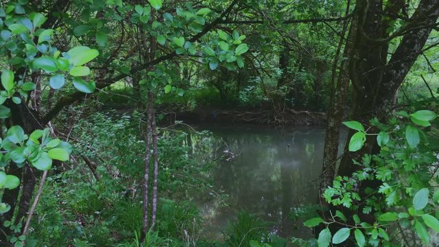 A Push In Shot Of A River In Cognac, France Which Had Just Recently Experienced A Brief Period Of Rain Showers.