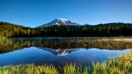 Beautiful wildflowers and Mount Rainier, Washington state