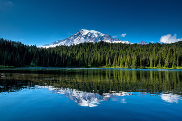 Beautiful wildflowers and Mount Rainier, Washington state