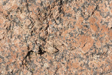 the texture of natural granite. natural stone. close up.
