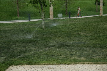 Obraz premium Garden Lawn automatic sprinkler in action water the grass in the park