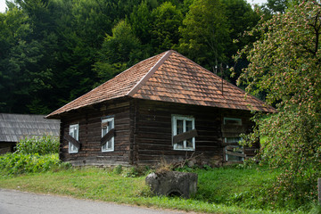 Wooden house in the village on the background of trees.