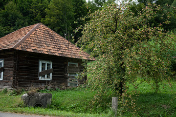 Obraz premium Wooden house in the village on the background of trees.
