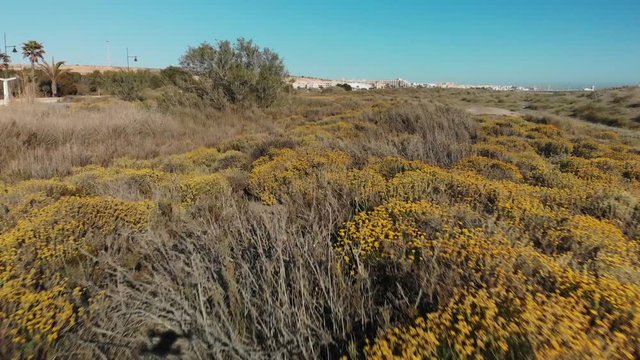 DRON  FLYING DOWN OVER THE FLOWERS