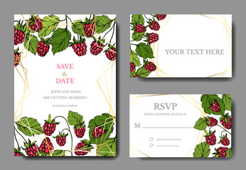 Vector Raspberry healthy food. Red and green engraved ink art. Wedding background card floral decorative border.