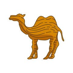 Camel Illustration Animal Vector Design