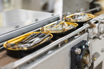 Tin cans with fish on the conveyor.
