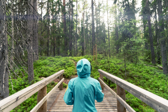 Young woman walking in boreal forest seen from behind her.