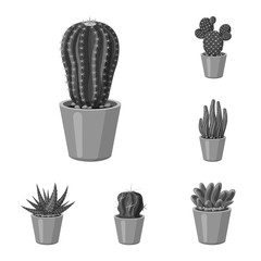 Vector illustration of cactus and pot logo. Collection of cactus and cacti stock vector illustration.