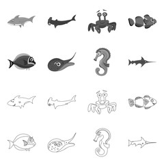 Vector design of sea and animal symbol. Collection of sea and marine stock symbol for web.