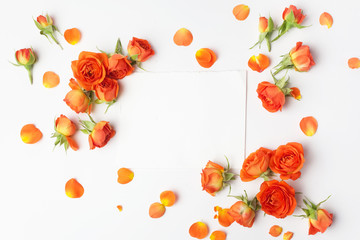 Framework from orange roses on white background. Flat lay. Top view