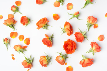 Floral pattern made of orange roses on white background. Flat lay, top view. Mother's day background. Floral pattern.