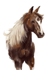 Obraz na płótnie Canvas horse hand drawn illustration,art design