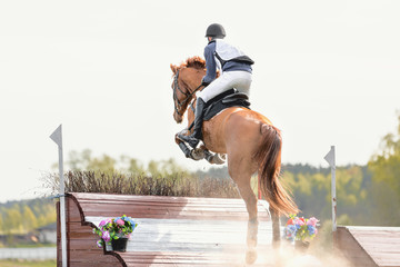 portrait of horse jumping (eventing competition)