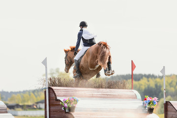 horse jumping during horse eventing cross-country in the morning in spring