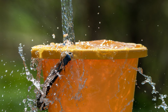 Pouring water and plastic bucket.