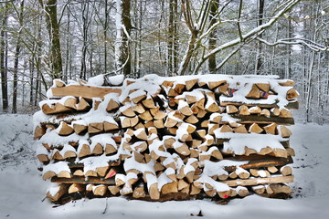 Wood billets in the forest covered in snow