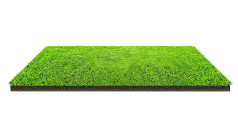 Green grass field isolated on white with clipping path. Sports field. Summer team games..