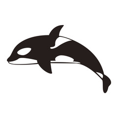 シャチ © 川崎市民団体Coaクラブ