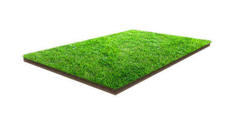 Green grass field isolated on white with clipping path. Sports field. Summer team games..