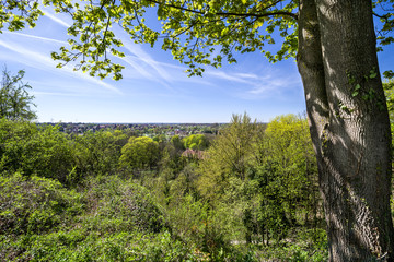 Fernsicht vom Kalkberg in Lüneburg im Frühling