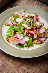 Salad of radish and green