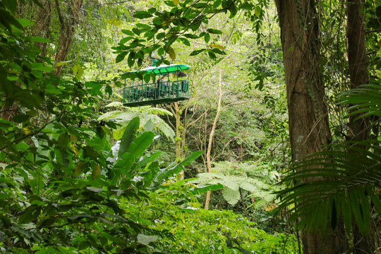 St. Lucia Tram Tour through the rainforest, Lesser Antilles