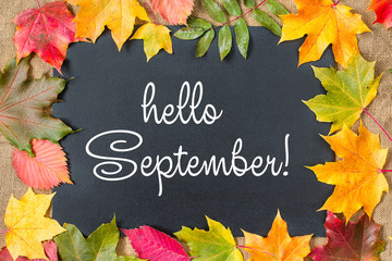  Hello September lettering card. Concept of the fall season.