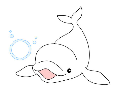 シロイルカ ベルーガ バブルリング Beluga whitedolphin