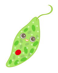 ユーグレナ ミドリムシ  イラスト