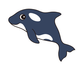 シャチ  イラスト