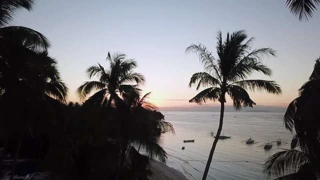 Sunrise through palm trees in Philippines