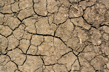 cracked in the sun dry dehydrated lifeless soil