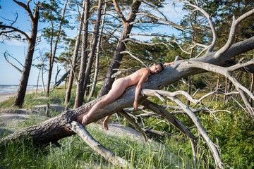 Beautiful young naked woman posing on a tree