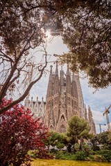 Sagrada Familia basilica in Barcelona