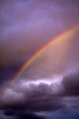 The rainbow after the storm