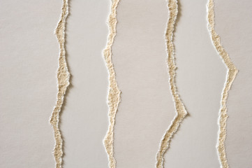 Pieces of torn white cardboard.