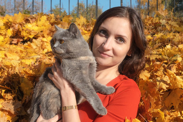 Pretty brunette woman wearing red dress holding a gray domestic cat in hands. Sunny autumn day and golden maple leaves on background. Outdoor walking with pet in park. Weekend activities. 