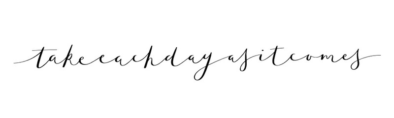 TAKE EACH DAY AS IT COMES brush calligraphy banner