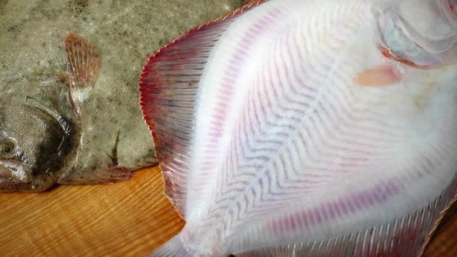 Fish of flatfish on a cutting board.